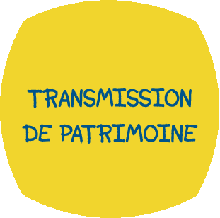 transmission de patrimoine